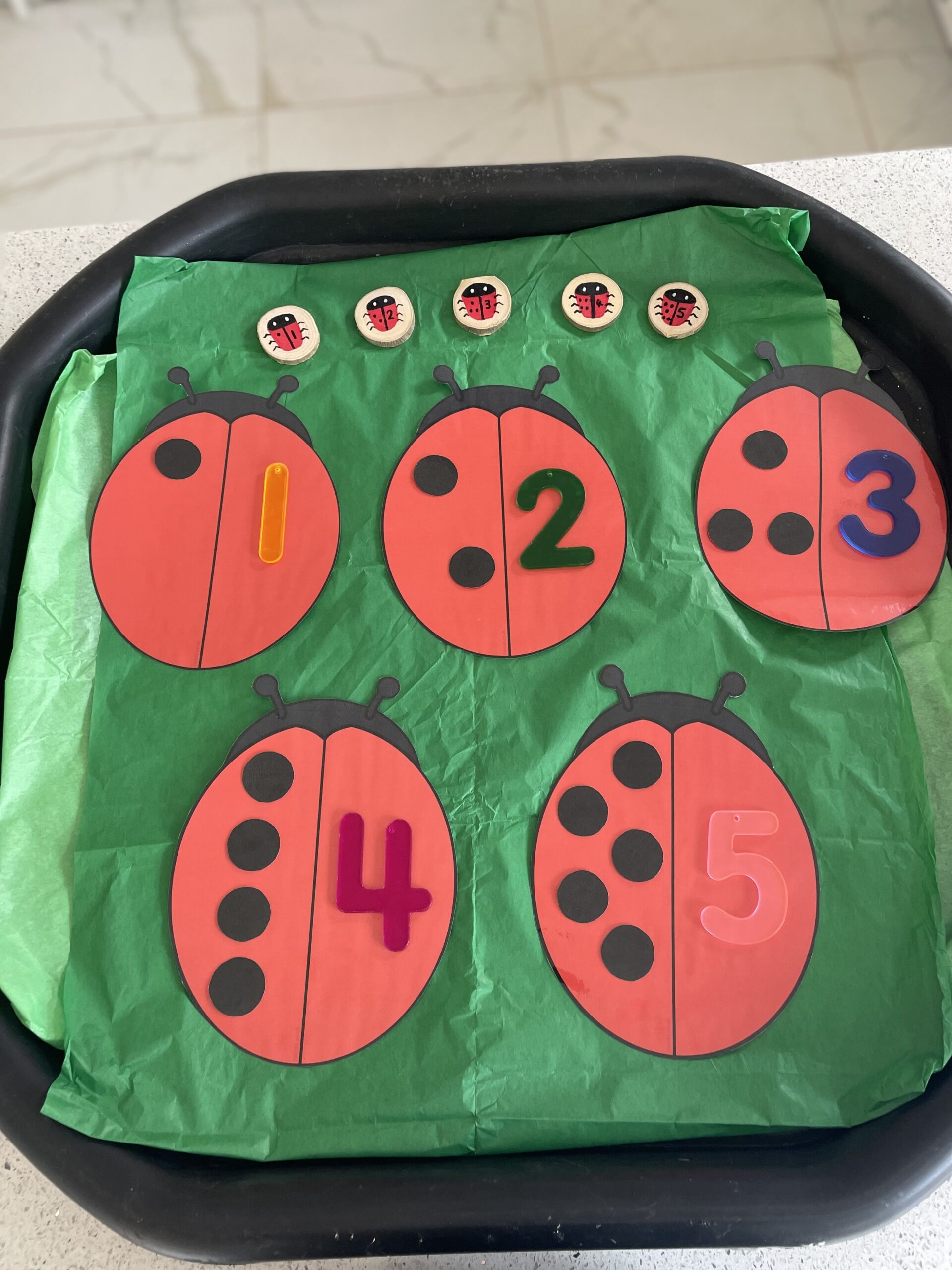 Count the Ladybirds! Early Maths Activity